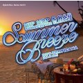 DJ DDT-TROPICANA - Summer Breeze -Hip Hop & R&B Summertime Classics- (Mix CD)