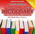 DJ DDT-TROPICANA - Tropical R&B Dictionary -Vermilion- -UK R&B Flava Part.1- (Mix CD)