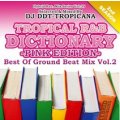 DJ DDT-TROPICANA - Tropical R&B Dictionary -Pink- -Best Of Ground Beat Mix Vol.2- (Mix CD)