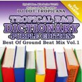 DJ DDT-TROPICANA - Tropical R&B Dictionary -Purple- -Best Of Ground Beat Mix Vol.1- (Mix CD)