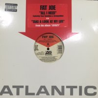 Fat Joe feat. Tony Sunshine & Armageddon - All I Need (b/w Take A Look At My Life) (12'')