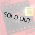 Paperboy - Ditty (12'')