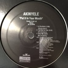 他の写真2: Akinyele - Put In Your Mouth (12'')
