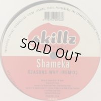 Shameka  - Reasons Why (Remix) (12'')