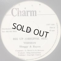 Shaggy & Rayvon - Big Up (12'')