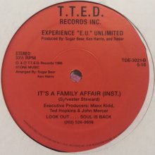 他の写真1: Experience "E.U." Unlimited - It's A Family Affair (12'') (2nd Press)