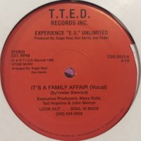 Experience "E.U." Unlimited - It's A Family Affair (12'') (2nd Press)