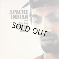 Apache Indian And Tim Dog - Make Way For The Indian (12'')