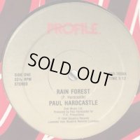 Paul Hardcastle - Rain Forest (12'')