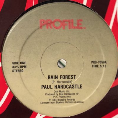 画像1: Paul Hardcastle - Rain Forest (12'')