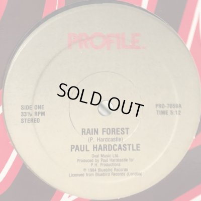 画像1: Paul Hardcastle - Rain Forest (12'')