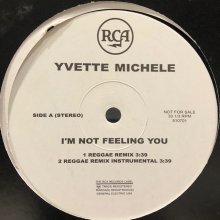 他の写真1: Yvette Michele - Everyday & Everynight (Remix) (b/w I'm Not Feeling You Reggae Remix) (12'')