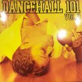 V.A. - Dancehall 101 Vol. 2 (inc.Foxy Brown - Sorry etc...) (LP) 