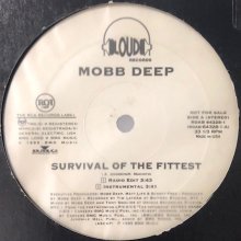 他の写真1: Mobb Deep - Survival Of The Fittest (12'') (US Promo !!)