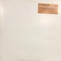 Dina Carroll - Special Kind Of Lovee (US Promo inc. Brothers In Rhythm Mix !!) (12''×2)
