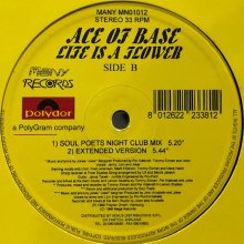 他の写真1: Ace Of Base - Life Is Flower (12'')