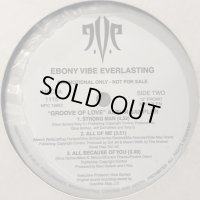 Ebony Vibe Everlasting (E.V.E.) - Album Sampler (inc. All Of Me, Strong Man etc...) (12'')