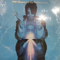 PM Dawn - I'd Die Without You (12'')