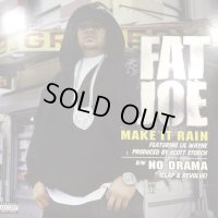 Fat Joe feat. Lil Wayne - Make It Rain (12'') (レアなジャケ付きUS正規盤！！)