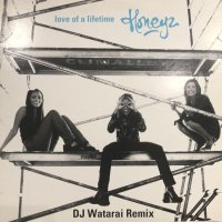 Honeyz - Love Of A Lifetime (DJ Watarai Remix) (12'')