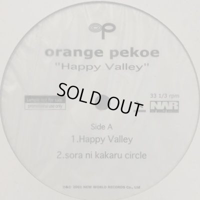 画像1: Orange Pekoe - Happy Valley (a/w 空に架かるCircle) (12'') (Promo)