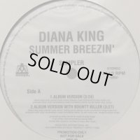 Diana King - Summer Breezin' (12'')