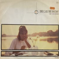 Dee C. Lee - Don't Do It Baby (Remix) (12'')