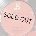 Debra Laws - On My Own (12'')