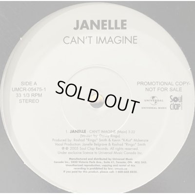 画像1: (セール品) Janelle - Can't Imagin (12'')