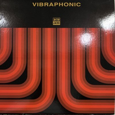 画像1: Vibraphonic - Vibraphonic (LP) (inc. Fall For You & Bounce)