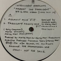Intelligent Hoodlum - Arrest The President (12'')