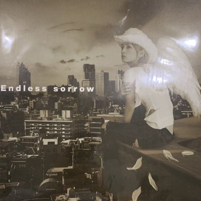 画像1: Ayumi Hamasaki (浜崎あゆみ) - Endless Sorrow (12'')