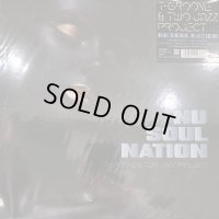 T-Groove & Two Jazz Project - Nu Soul Nation (LP)