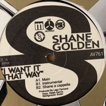 他の写真1: Shane Golden feat. Fatman Scoop & Stik-E & The Hoods - I Want It That Way (12'')