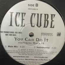 他の写真1: Ice Cube - You Can Do It (12'')