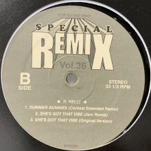 他の写真1: R.Kelly - She's Got That Vibe, Summer Bunnies (Special Remix Vol.36) (12'')