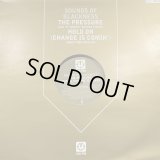 Sounds Of Blackness - Hold On (Change Is Comin') (Roger Troutman's Remix) (12'')