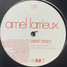 他の写真1: Amel Larrieux - Sweet Misery (Rush / Stretch Remix) (12'')