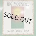 Big Mountain - Sweet Sensual Love (12'') 