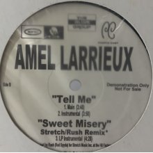 他の写真1: Amel Larrieux - Sweet Misery (Rush / Stretch Remix) (b/w Tell Me) (12'')