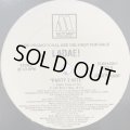 Ladae! feat. Chubb Rock - Party 2 Nite ((Fab Strip Flava) (12'')