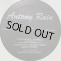 Antony Rain - Ordinary World (12'')
