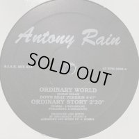 Antony Rain - Ordinary World (12'')