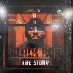 Black Rob - Life Story (2LP) - FATMAN RECORDS