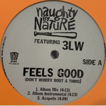 他の写真1: Naughty By Nature feat. 3LW - Feels Good (Don't Worry Bout A Thing)　(b/w Rah Rah) (12'')