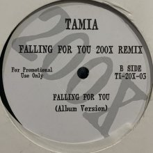 他の写真1: Tamia - Falling For You (200X Remix) (12'')