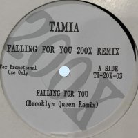 Tamia - Falling For You (200X Remix) (12'')