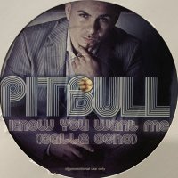 Pitbull - I Know You Want Me (Calle Ocho) (12'')