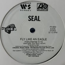 他の写真2: Seal - Fly Like An Eagle (Album Version) (12'')