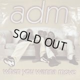 ADM - When You Wanna Move (12'') (コンディションの為特価!!)